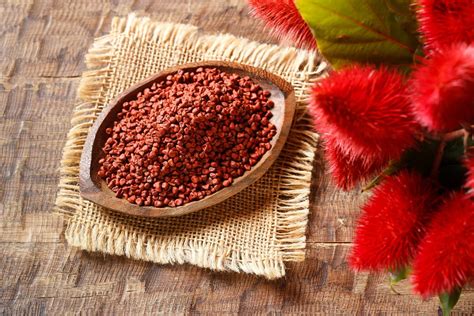 Condimento Feito A Partir Do Urucum - Chá de urucum serve para quê? Saiba como preparar e consumir corretamente