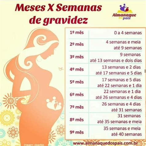 54 Meses São Quantos Anos