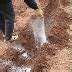 Удобрение Гуми-Оми Картофель: инструкция по применению и назначение ...