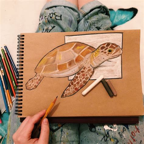 Черепашка🐢 | Office supplies, Supplies, Notebook
