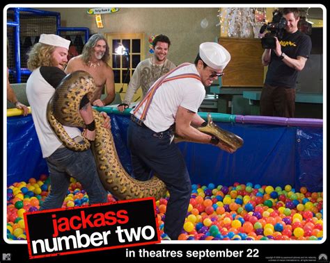 Jackass The Movie Wallpapers - Wallpaper Cave