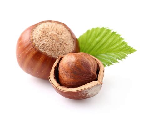 Лесной орех — Hazelnut