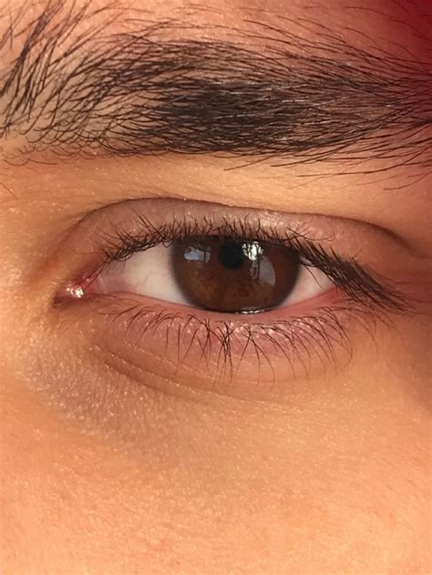 Pin by Мадина on Быстрое сохранение | Brown eyes aesthetic, Brown hair ...