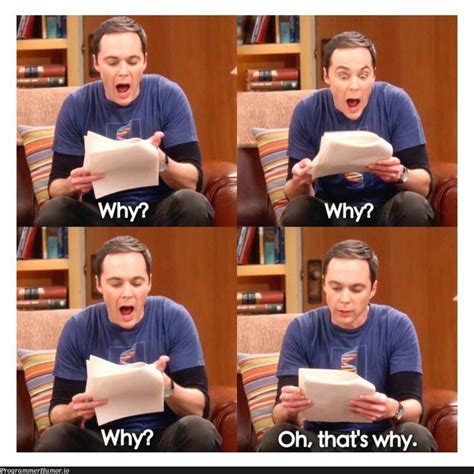 Debugging 101 – ProgrammerHumor.io