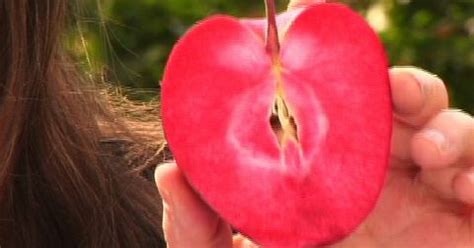 Fruta Vermelha Por Fora é Branca Por Dentro Com Caroço