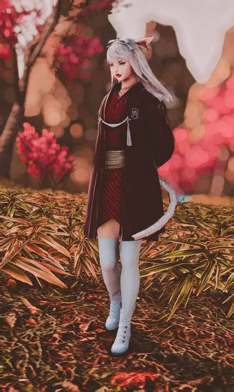 SAKURA. | Eorzea Collection