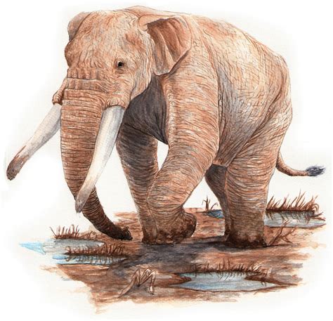 stegomastodon platensis by fcohuei on DeviantArt