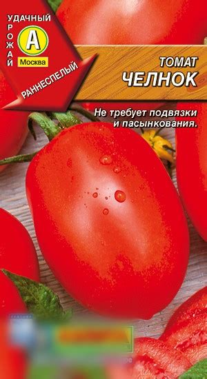 Томат
