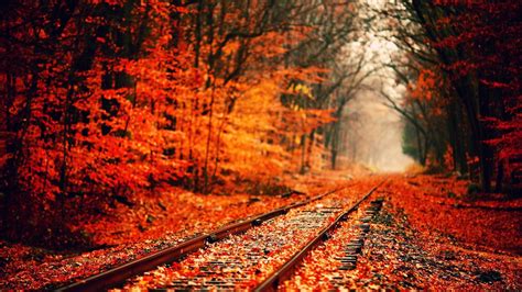 Autumn Aesthetic Laptop Wallpapers - Top Free Autumn Aesthetic Laptop ...