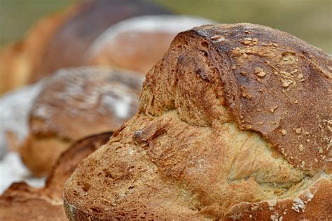 Imagem gratuita: pão, pequeno-almoço, fresco, caseiro, trigo, bens ...
