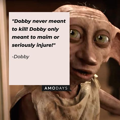 38 Dobby Quotes to Remind Us of Our Forever-Treasured Free Elf from