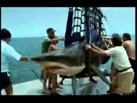 Акула проглотила человека - YouTube