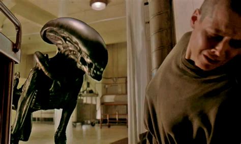 alien horror  terrifying xenomorphs   alien movies space