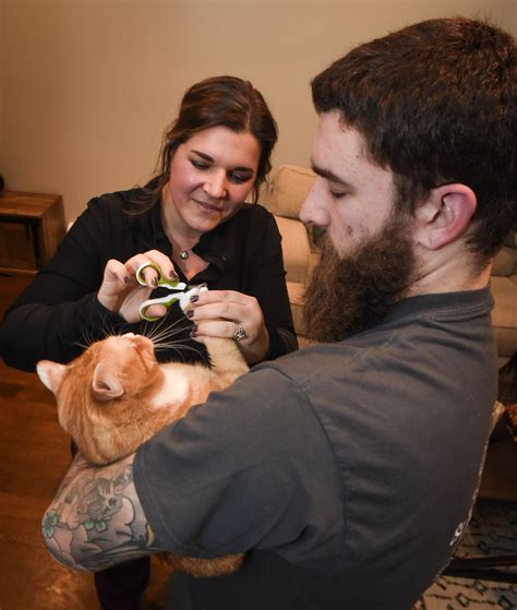 How a Canton woman with a gift for dogs (and other pets) hits the road