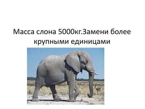 Единицы массы. Тонна и центнер - презентация онлайн