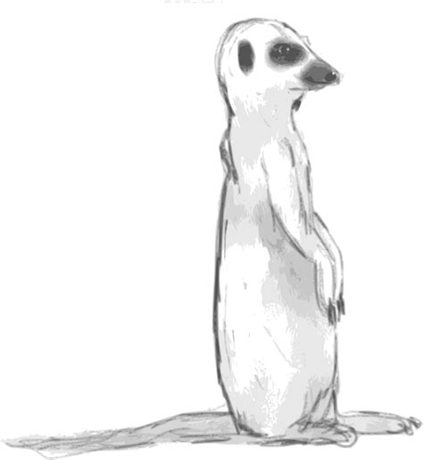 Meerkat Sketch - Openclipart