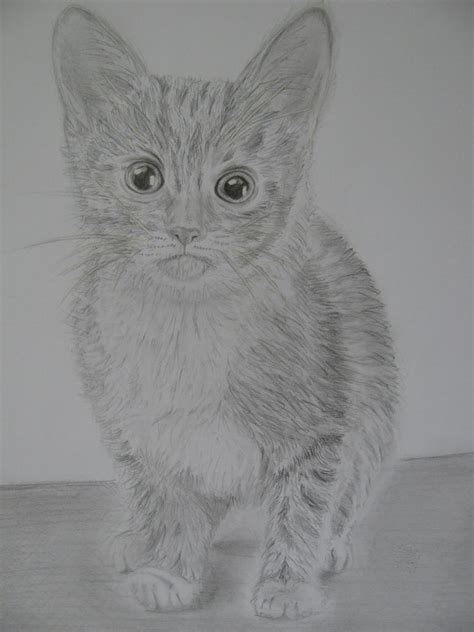 Kittie by Jessito on DeviantArt