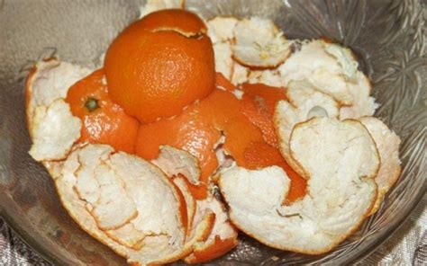 Подкормка растений - Со Вкусом