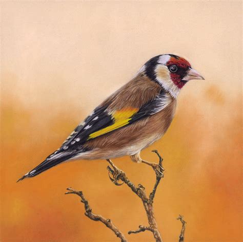 Open Edition Prints — Shop — Tricia Findlay Fine Art