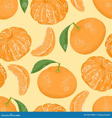 Slices Peeled Orange Stock Illustrations – 99 Slices Peeled Orange ...