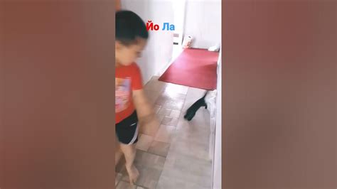 йола - YouTube
