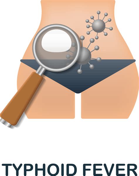 Typhoid Fever icon. 3d illustration from deseases collection. Creative