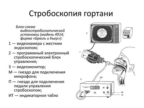 Методы диагностики гортани - online presentation