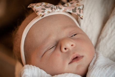 Lady Luella-The Dream Chasing Family