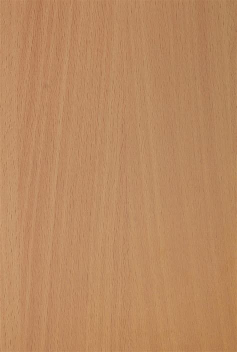 Bavarian Beech – Emilam