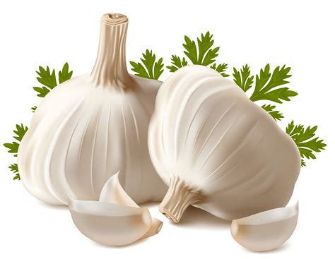 Health Benefits of Garlic