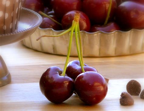 25 Fresh Cherry Recipes You Must Make Today