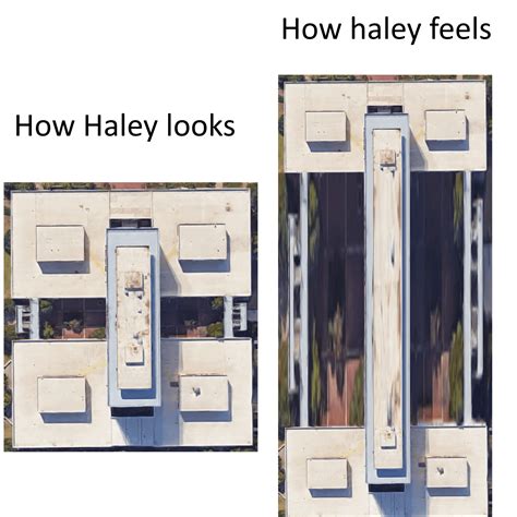 How haley looks vs. how it feels : r/auburn