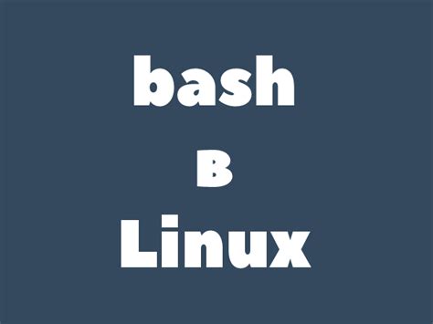 Что такое bash в Linux? Гайд по созданию bash-скриптов / Ravesli