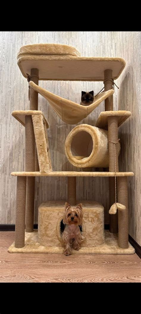CatHouse — когтеточка домик для кошки - Производитель, Москва