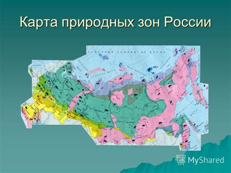 Презентация на тему: "Природные зоны России. Зона лесов. Урок ...