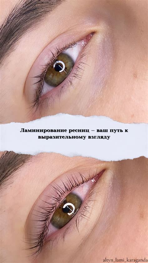 Ламинирование ресниц | Eyelash lift, Brows, Lashes