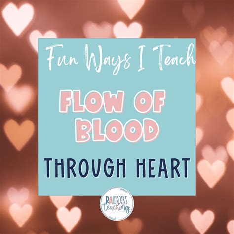 fun ways  teach flow  blood  heart rae rocks teaching