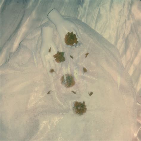 Penelope Stone — OURS