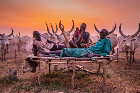 dinka tribe  south sudan  african encounters