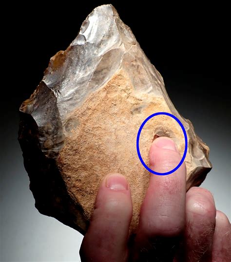 rare  exceptional  early acheulean hand axe   homo erectus