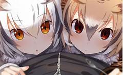 Kemonparty Unacceptable This Needs To Be Addressed Immediately