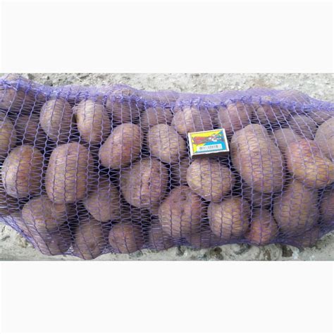 Продам картофель - Сорт Иван да Марья, Полтавская обл — Agro-Ukraine
