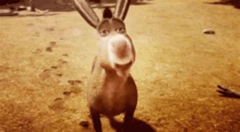 Donkey Smiling GIF - Donkey Smiling Cute - Discover & Share GIFs