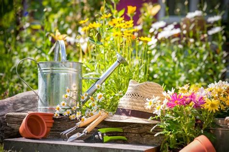 21 Totally Epic Garden Gifts For Grandma - Top Gift Guide 2025