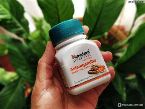 БАД HIMALAYA Ашваганда - «Странное средство. Не увидела эффекта» | отзывы