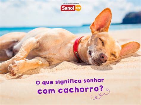 Qual O Significado De Sonhar Com Cachorros