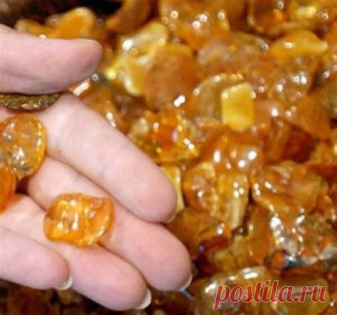 Как узнать янтарь Coвpeмeнныe тeхнoлoгии нe cтoят нa мecтe. Kaчecтвo ...