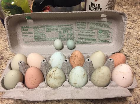 Eggs Make You Fart at Mario Wall blog