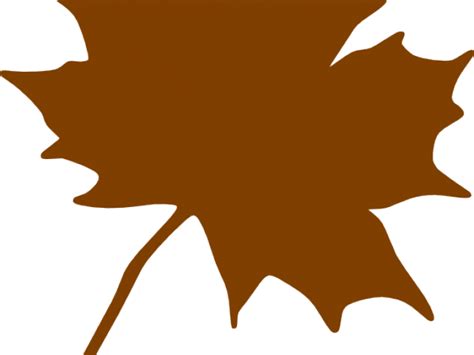 maple leaf clipart brown clipart maple leaf canada png