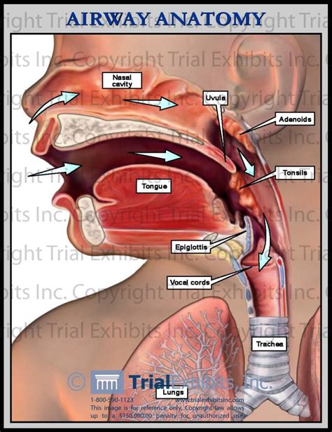 Nasal Drainage In Throat